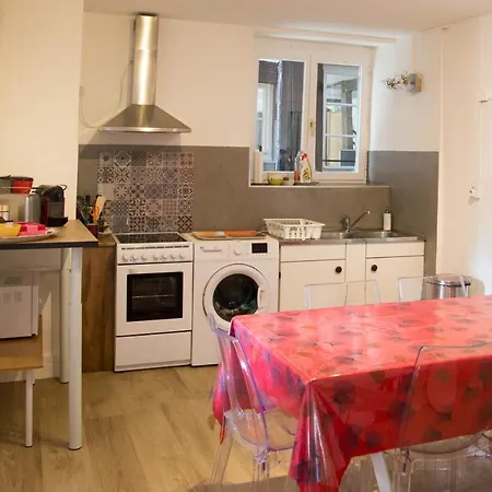 Apartment Le Bain Aux Plantes Strasbourg